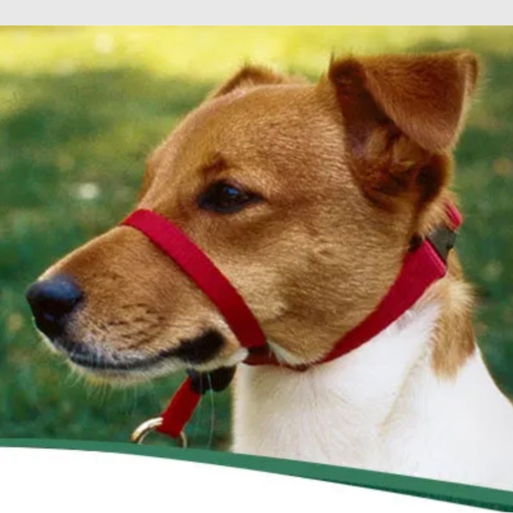 Gentle Leader Red Head Collar Size Small, Medium & Large